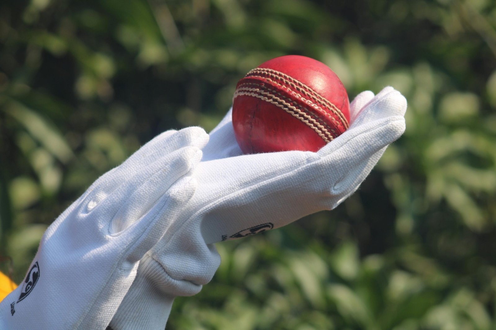 Cricket World Trends